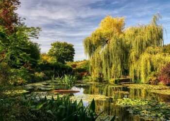 Un tableau de Monet s’envole à 50 millions d’euros, établissant un record historique aux enchères en France