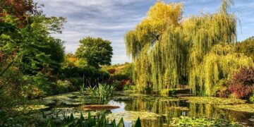 Un tableau de Monet s’envole à 50 millions d’euros, établissant un record historique aux enchères en France