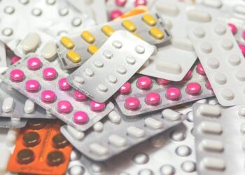 Au One Health Summit, les chercheurs lancent un appel urgent pour vaincre la résistance aux antibiotiques